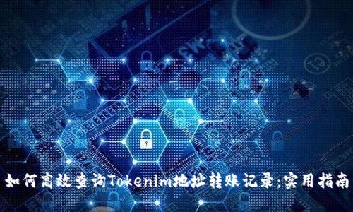 如何高效查询Tokenim地址转账记录：实用指南