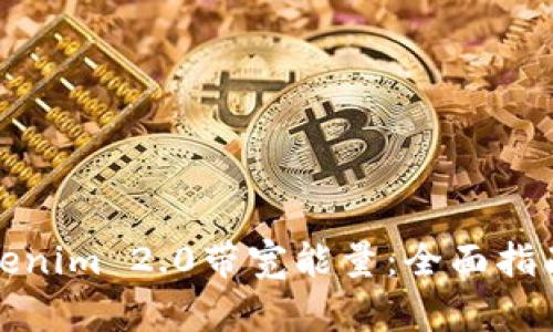 如何获取Tokenim 2.0带宽能量：全面指南与实用技巧