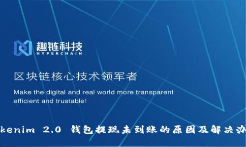 Tokenim 2.0 钱包提现未到账的原因及解决办法