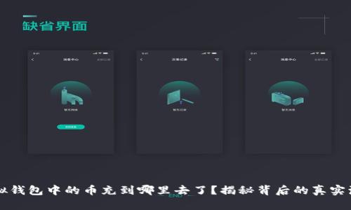 虚拟钱包中的币充到哪里去了？揭秘背后的真实流向