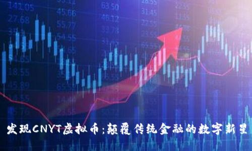 发现CNYT虚拟币：颠覆传统金融的数字新星