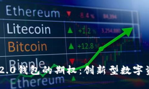 探索TokenIM 2.0钱包的期权：创新型数字资产管理新体验