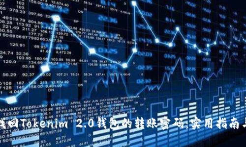 如何找回Tokenim 2.0钱包的转账密码：实用指南与建议