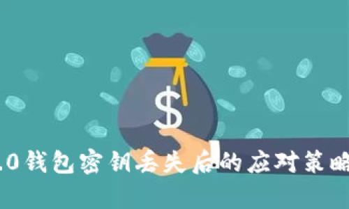 Tokenim 2.0钱包密钥丢失后的应对策略与复原指南