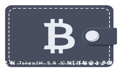 如何轻松复制 TokenIM 2.0 公钥？详解安全步骤和注意事项