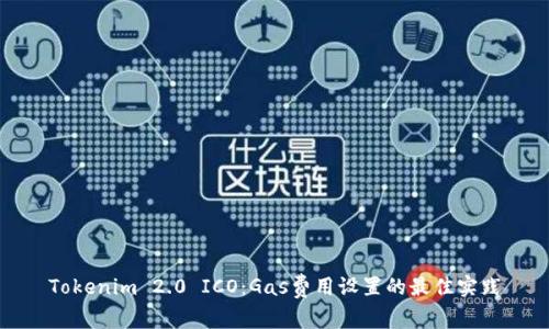 Tokenim 2.0 ICO：Gas费用设置的最佳实践
