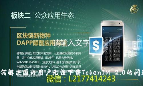 如何解决国内用户无法下载TokenIM 2.0的问题？