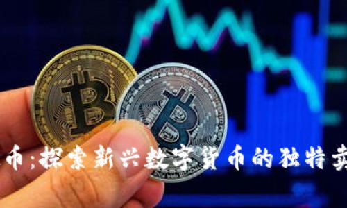 Dongking虚拟币：探索新兴数字货币的独特卖点与未来潜力