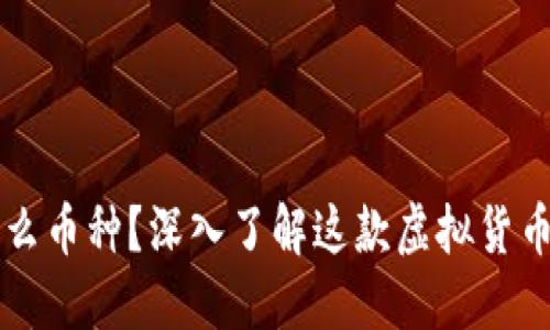 比特币是什么币种？深入了解这款虚拟货币的独特魅力