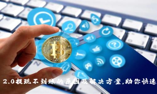 Tokenim 2.0提现不到账的原因及解决方案，助你快速找回资金