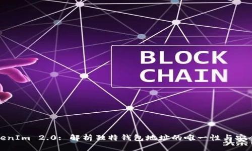 TokenIm 2.0: 解析独特钱包地址的唯一性与安全性
