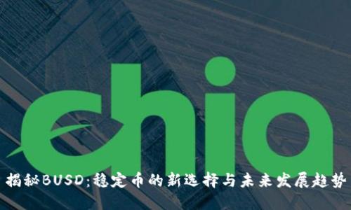 揭秘BUSD：稳定币的新选择与未来发展趋势
