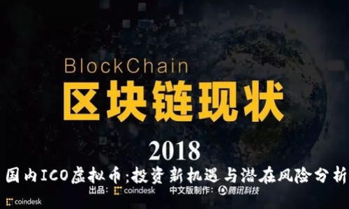 国内ICO虚拟币：投资新机遇与潜在风险分析