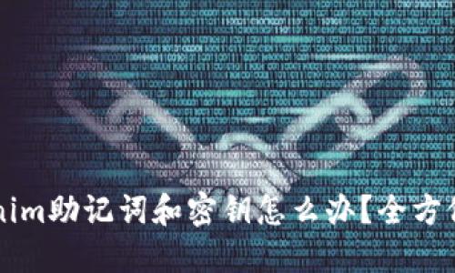 丢失Tokenim助记词和密钥怎么办？全方位应对指南