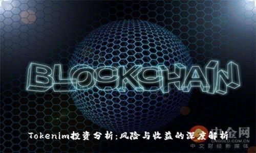 Tokenim投资分析：风险与收益的深度解析