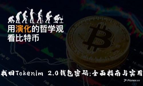 如何找回Tokenim 2.0钱包密码：全面指南与实用技巧