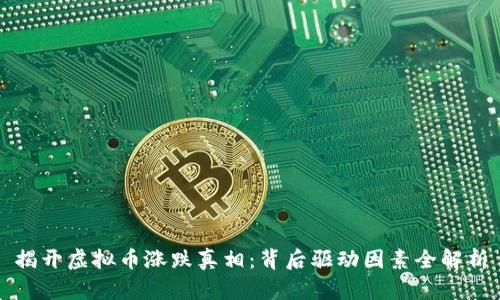 揭开虚拟币涨跌真相：背后驱动因素全解析