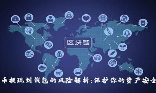虚拟币提现到钱包的风险解析：保护你的资产安全指南